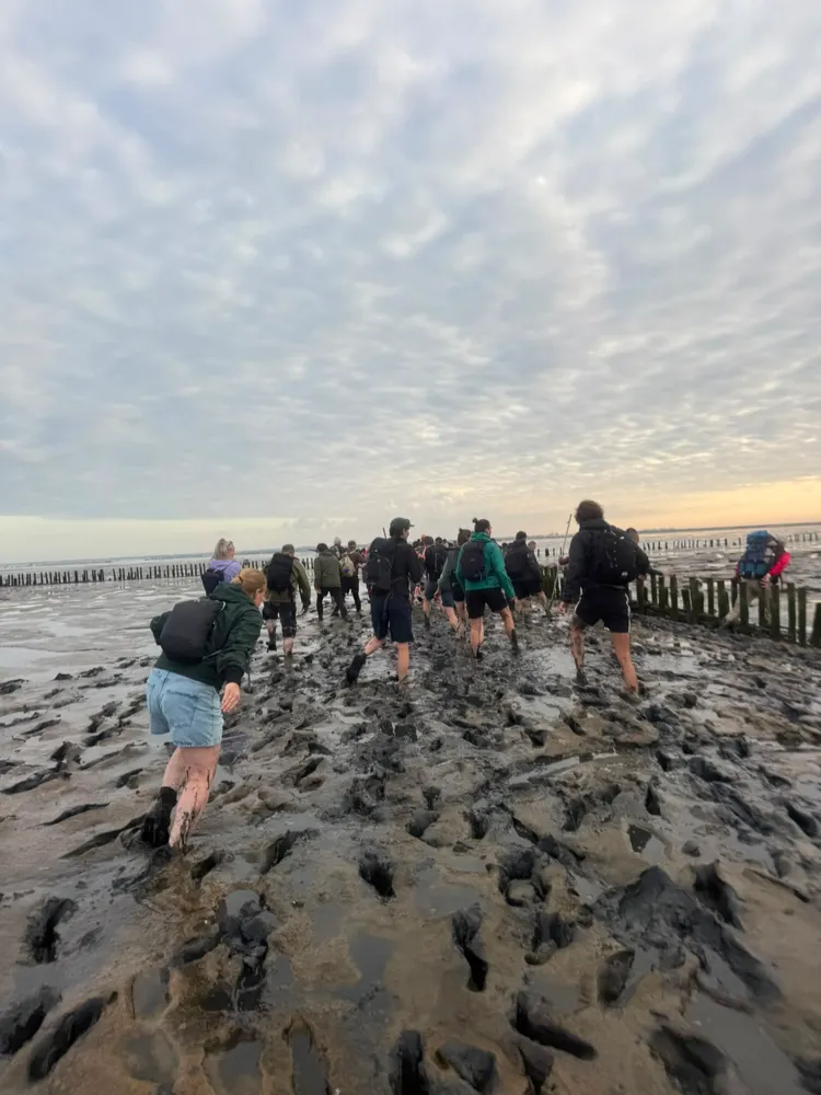 Collega's wandelen over de stenen langs het water, tegen het eind van de dag